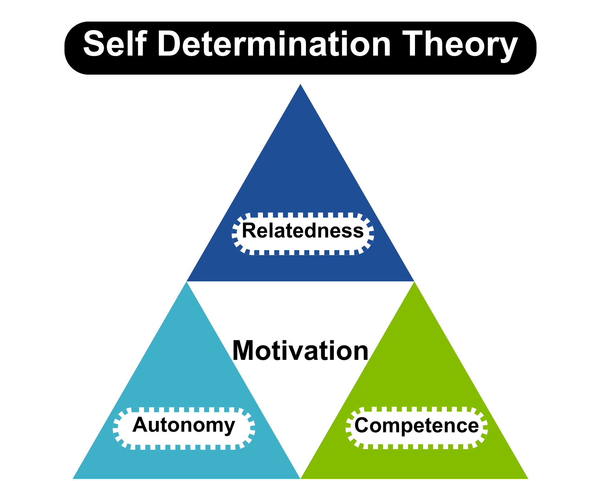 Self Determination Theory