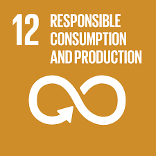 Navigate to Goal 12: Responsible Consumption and Production