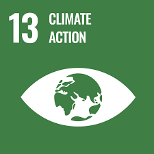 Navigate to Goal 13: Climate Action