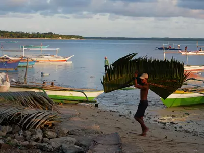 Man carries palm branches on a beach in the Philippines