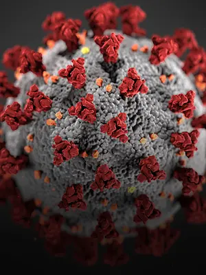 A microscopic view of the novel coronavirus that causes COVID-19.