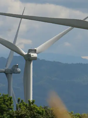 Wind turbines generate electricity on a hillside.