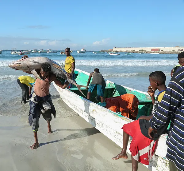 The crew of a fishing boat in Somalia hauls in a large fish.