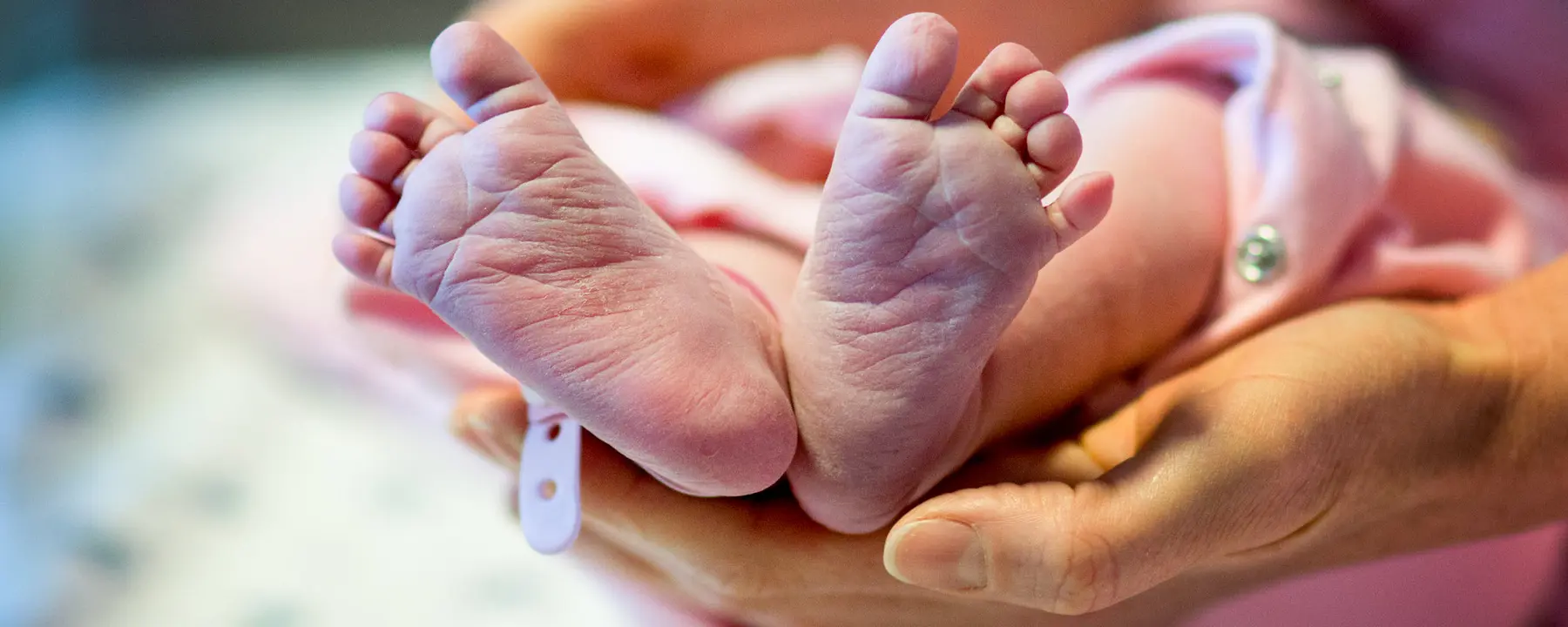 Nurse holds the feet of a premature infant