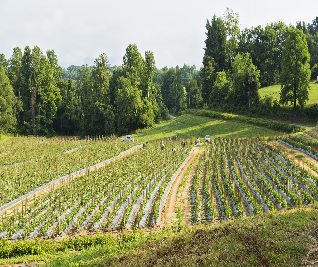 NASA Awards RTI Research Grant for Black Farming Community in NC RTI
