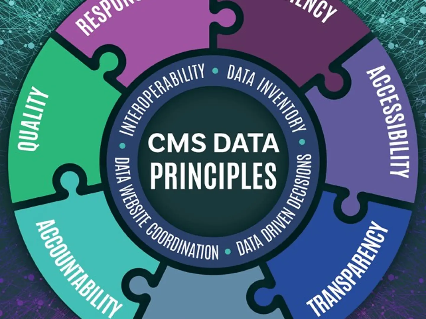 CMS Data Principles: Responsibility, Efficiency, Accessibility, Transparency, Accountability, Quality