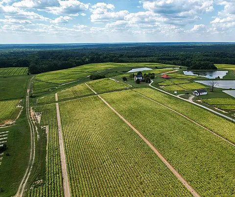 Farm landscape in North Carolina