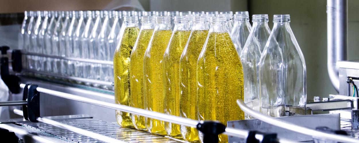 Support and Develop a New Innovation Model for a Fortune 500 Food