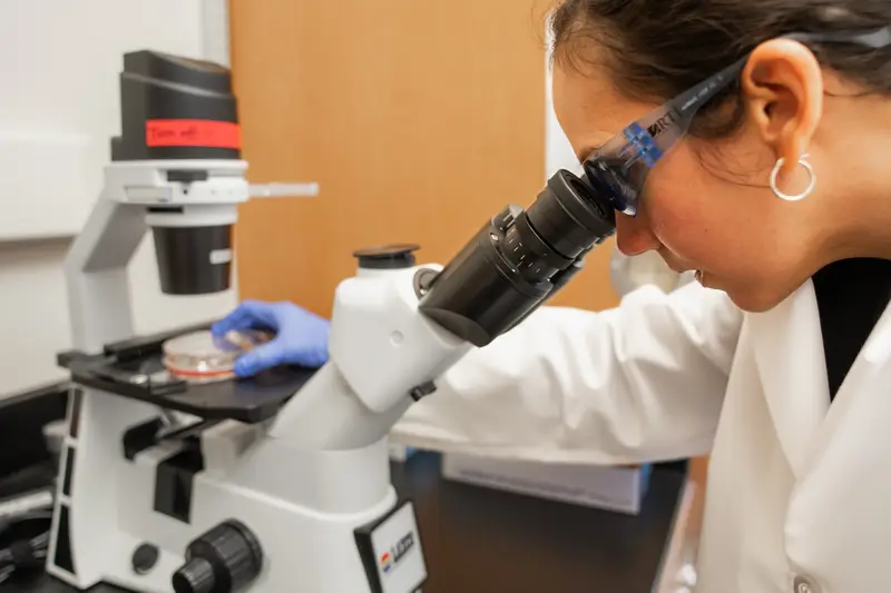 Leah Johnson looking in a microscope, looking at a petri dish